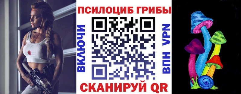 наркотики Кремёнки Псилоцибиновые грибы MAGIC MUSHROOMS
